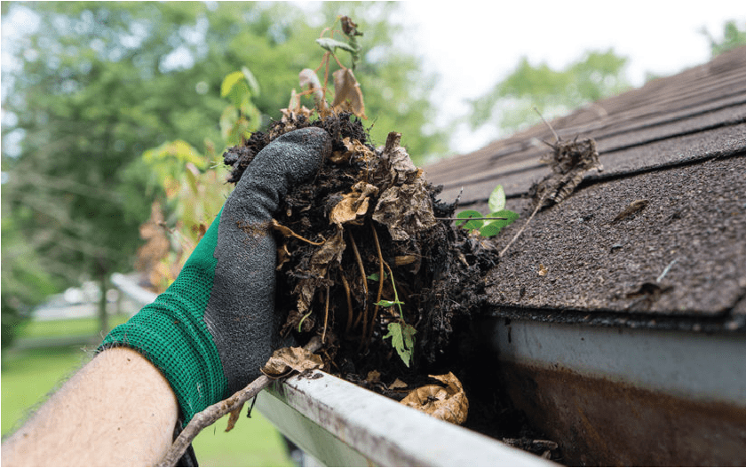 gutter cleaning in virginia beach