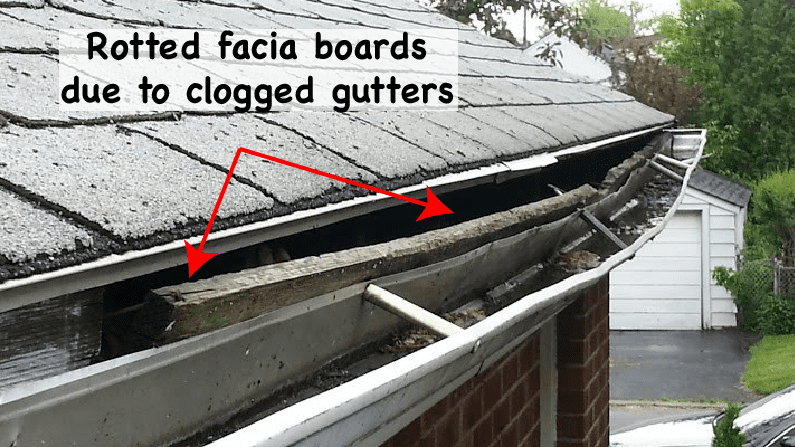 gutter leaf guards