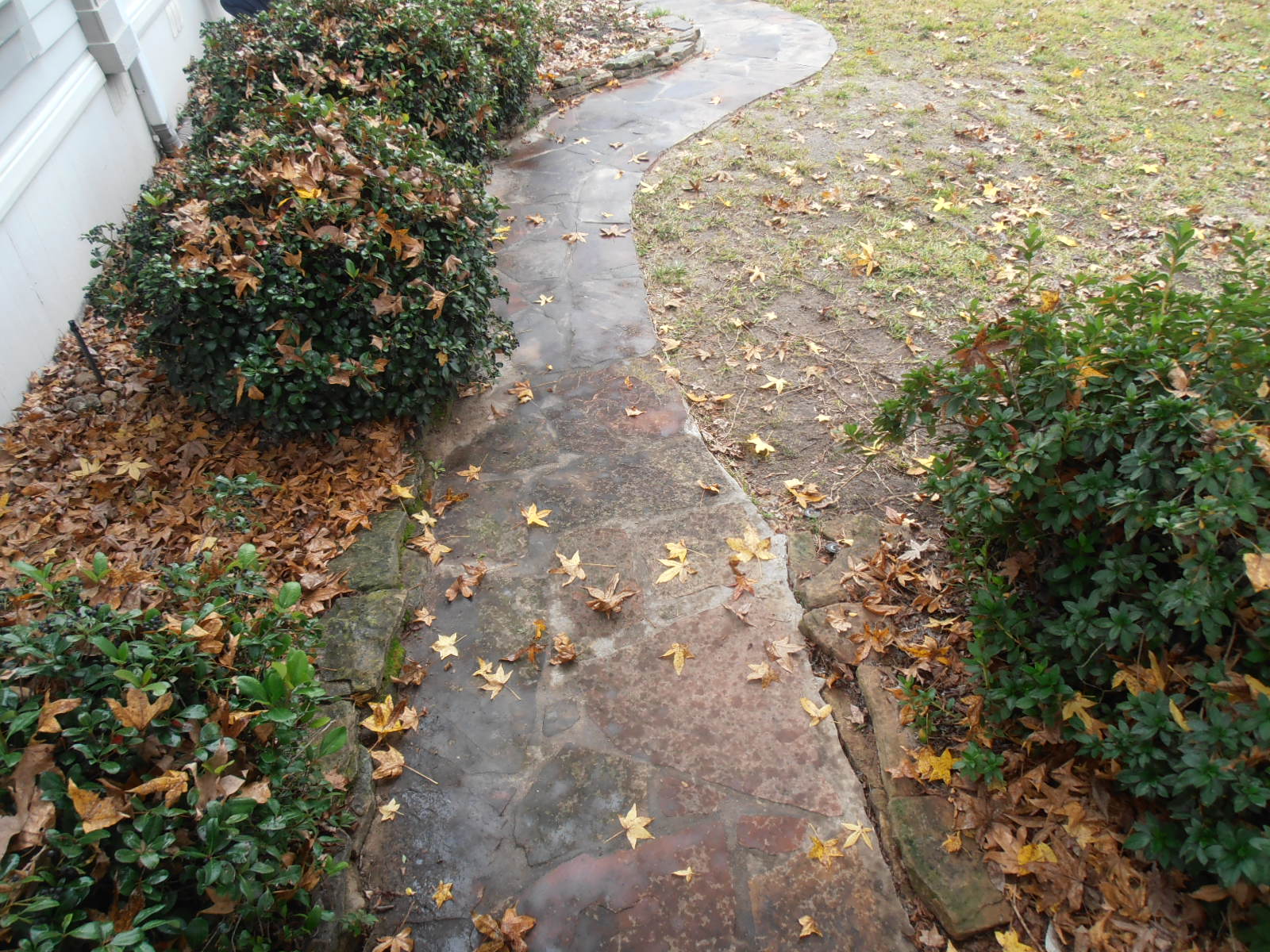 Stone walkway before cleaning