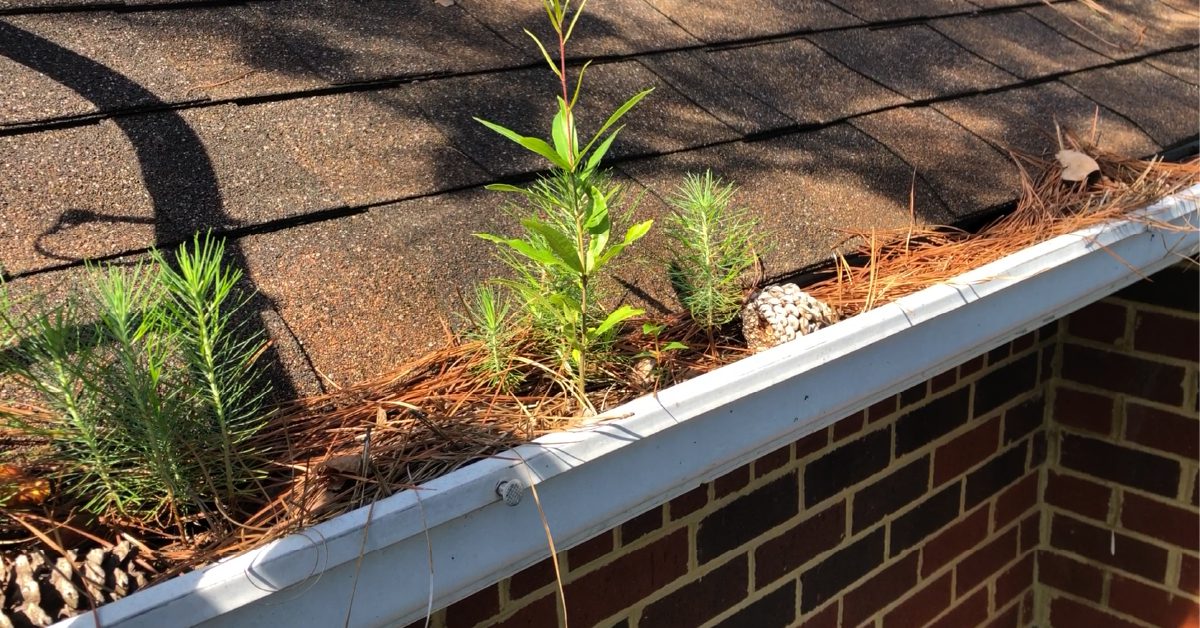 Gutter Guards Installation in Virginia Beach gutter guards installation