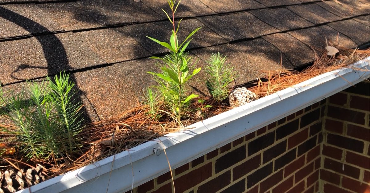 gutter guards installation