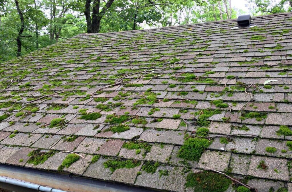 Moss Roof Cleaning – #1 Best Way To Remove Moss from a Roof