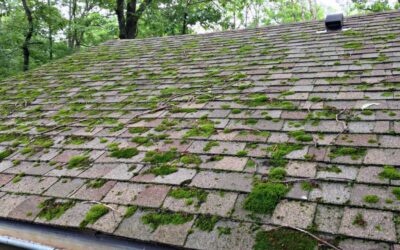 Moss Roof Cleaning – #1 Best Way To Remove Moss from a Roof